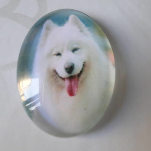 X 1 camée/cabochon ovale en verre motif chien blanc 25 x 18 mm 