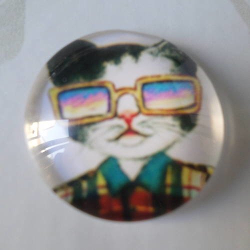 X 1 camée/cabochon rond en verre motif chaton rigolo 20 mm 