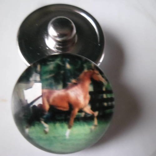 X 1 bouton pression cheval pour bijoux rond en verre 18 mm 