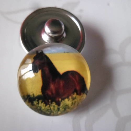 X 1 bouton pression cheval pour bijoux rond en verre 18 mm 