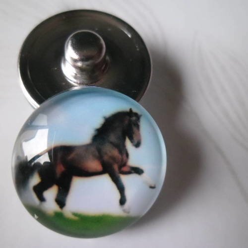 X 1 bouton pression cheval pour bijoux rond en verre 18 mm 