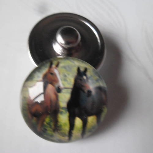 X 1 bouton pression cheval pour bijoux rond en verre  18 mm 