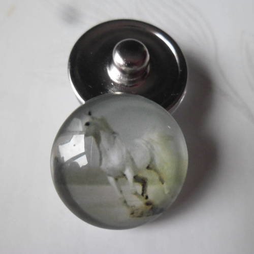 X 1 bouton pression cheval pour bijoux rond en verre18 mm 