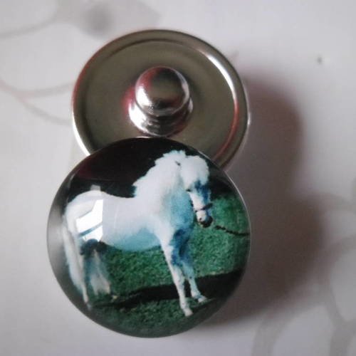 X 1 bouton pression(bijou)rond en verre motif cheval 18 mm 