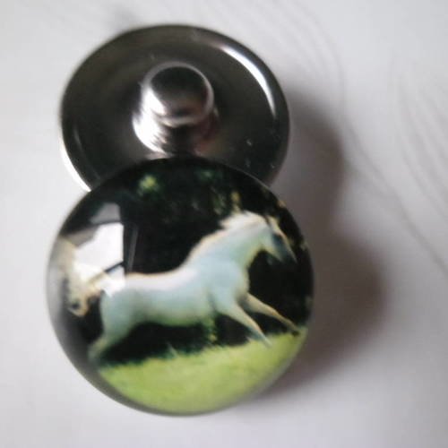 X 1 bouton pression(bijou)rond en verre motif cheval 18 mm 