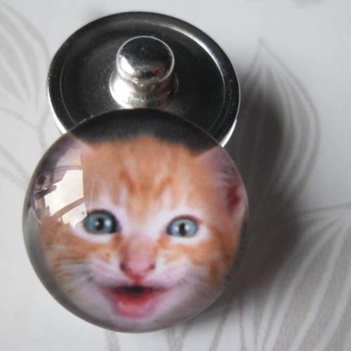 X 1 bouton pression(bijou)rond verre dome motif chaton roux 18 mm 