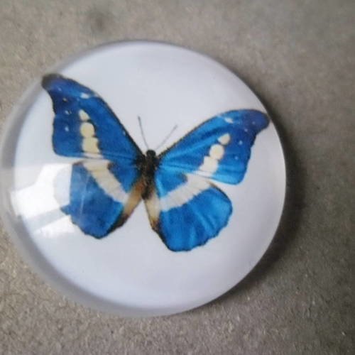 X 1 camée/cabochon 25 mm rond verre bombé motif papillon 