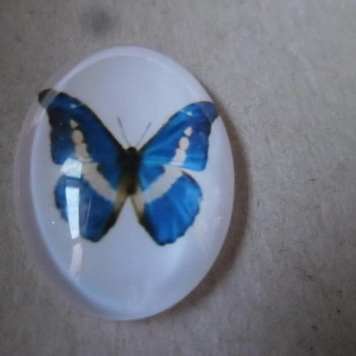 X 1 camée/cabochon verre bombé ovale motif papillon 25 x 18 mm 