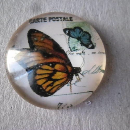 X 1 camée/cabochon verre dome rond motif papillon 25 mm 