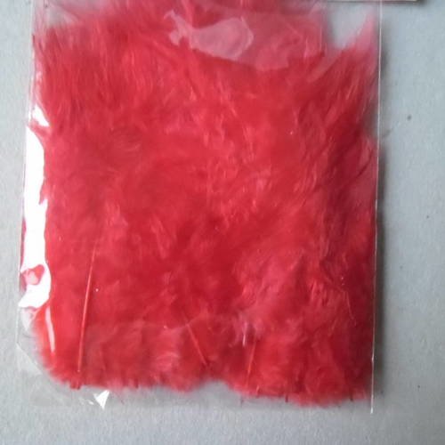X 35 mini plumes sur tige de couleur rouge vif 