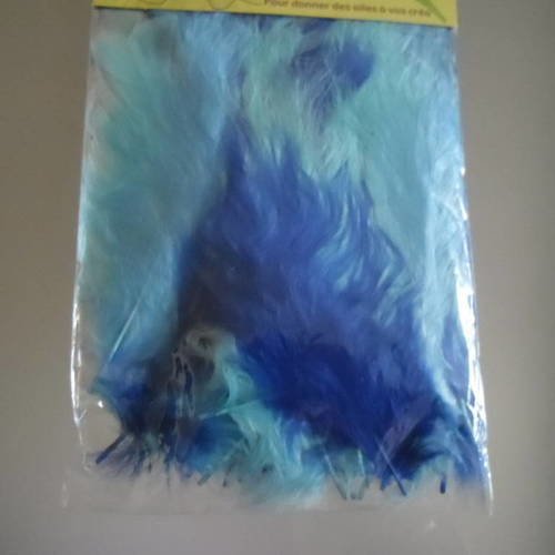 X 1 sachet de 50 plumes de différentes couleur de bleu 