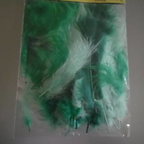 X 1 sachet de 50 plumes de différentes couleur de vert 