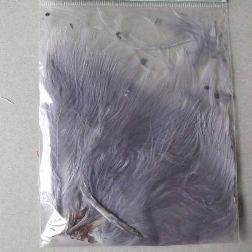 X 1 sachet de 20 très belles plumes de couleur grise +- 11 cm de hauteur 