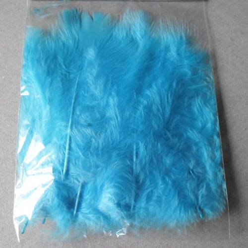 X 1 sachet de 20 très belles plumes de couleur turquoise +- 11 cm