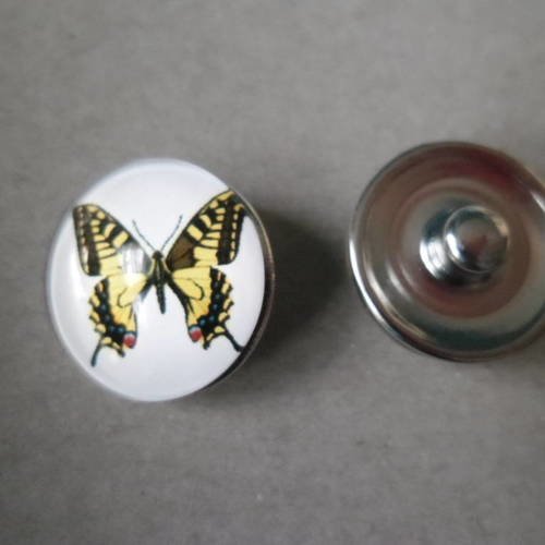 X 1 bouton pression nooza de métal,cabochon circulaire verre motif papillon tons doré,marron 18 mm 