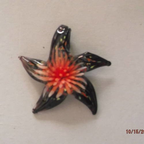 1 pendentif étoile de mer motif orange en verre soufflé 46 x 41 mm 