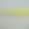 Raphia naturel de couleur vert clair écheveau de 18 mètres 