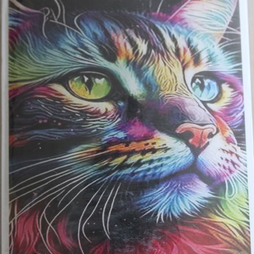 Diamond painting "chat multicolore"