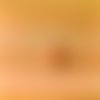 Perle oeil de chat 6 mm orange x 15