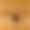 Perle oeil de chat 6 mm de couleur marron x15