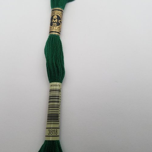 Fil à broder - mouliné dmc 3818 pour broderie et tapisserie