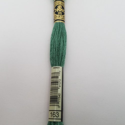 Fil à broder - mouliné dmc 163 pour broderie et tapisserie