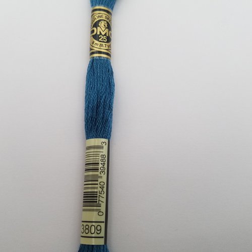 Fil à broder - mouliné dmc 3809 pour broderie et tapisserie