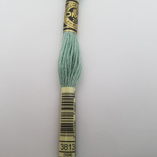 Fil à broder - mouliné dmc 3813 pour broderie et tapisserie
