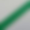 Biais uni, vert sapin, largeur 20 mm, vendu au mètre (bi-p053)