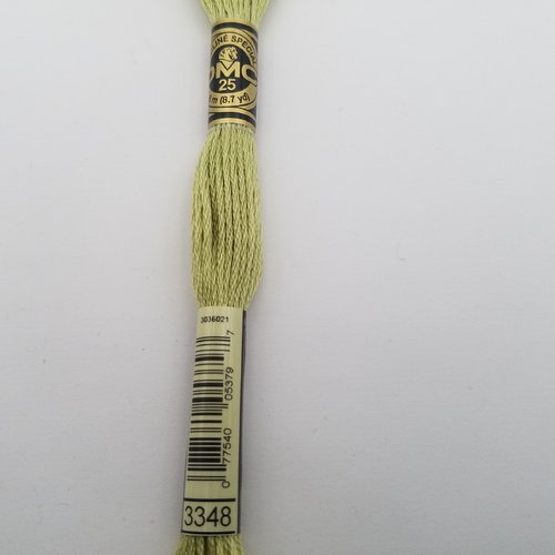 Fil à broder - mouliné dmc 3348 pour broderie et tapisserie