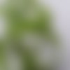 Ruban velours - vert prairie - largeur de 9 à 22 mm (ve-611)