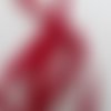 Ruban velours - rouge écarlate - largeur de 9 à 22 mm (ve-644)