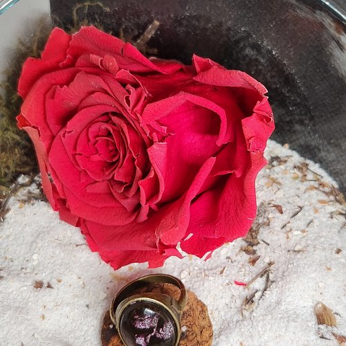 Bague nuit d’améthyste