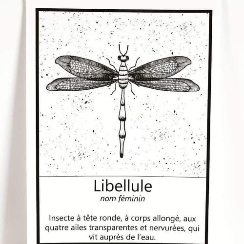 La papeterie secrète - lb créations - Un grand marché