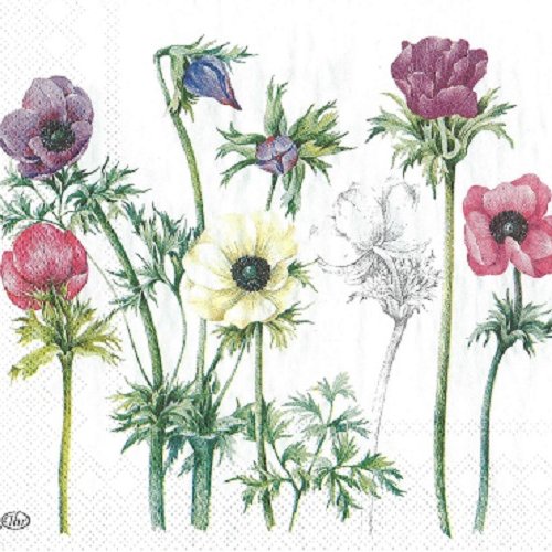 1 serviette en papier fleurs - anemones - ref 107