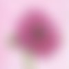 1 serviette en papier fleur - anemone - ref 261