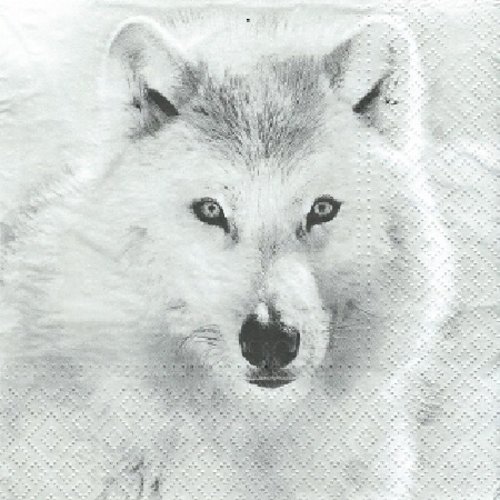 1 serviette en papier ours - loup blanc - ref 274