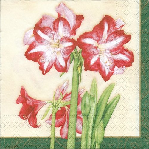 1 serviette en papier amarylis - fleurs - ref 1038