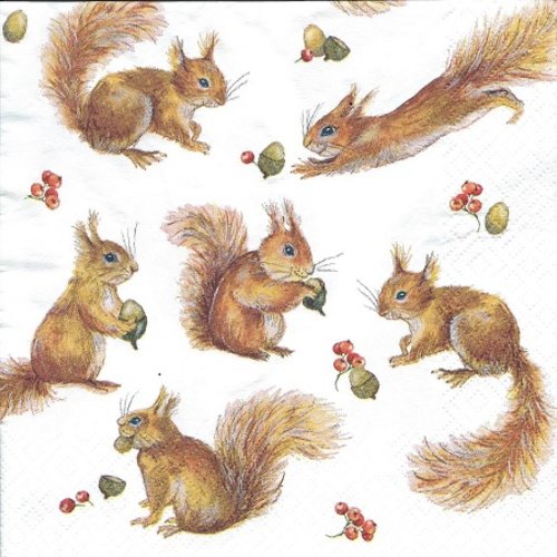 1 serviette en papier ecureuil - ref 1368