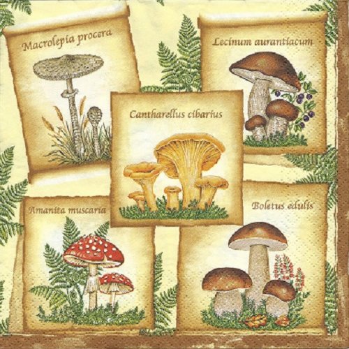 1 serviette en papier champignons - ref 1462