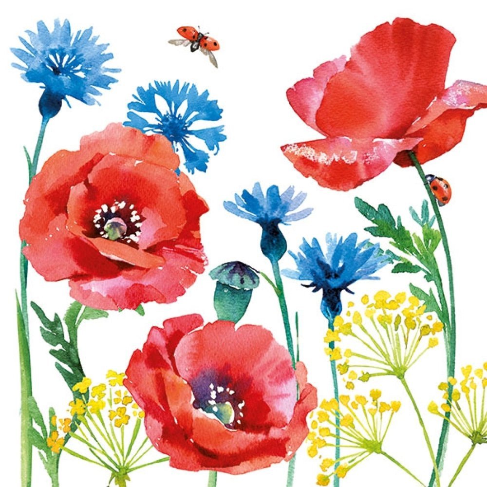 WILDFLOWERS - Stickers muraux - Fleurs : bleuets, coquelicot