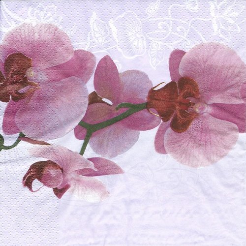 1 serviette en papier orchidee - fleurs - ref 1667