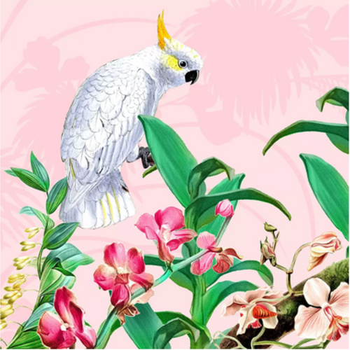 1 serviette en papier perroquet - oiseaux - orchidée - ref 1688
