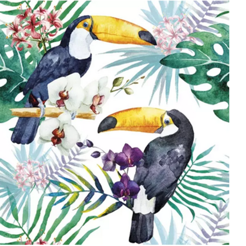 1 serviette en papier toucan - oiseaux - orchidée - ref 1692