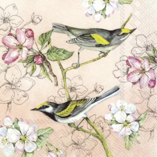 1 serviette en papier oiseaux - fleurs d'abricot -  ref 1838