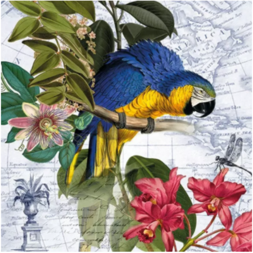 1 serviette en papier ara - oiseaux - ref 1891
