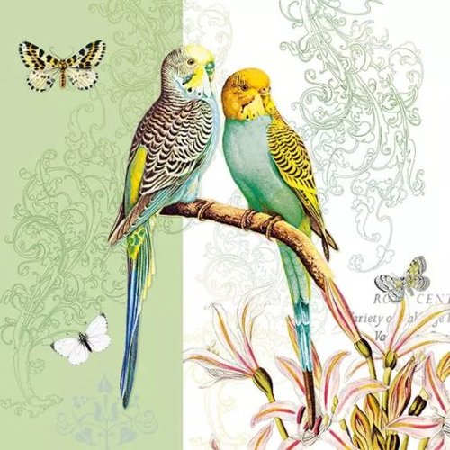 1 serviette en papier perroquet - papillon - oiseaux - ref 2081