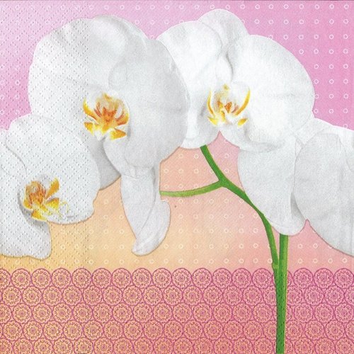 1 serviette en papier orchidee - ref 2144
