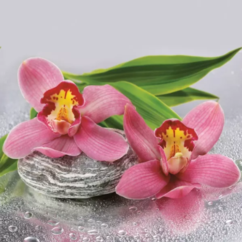 1 serviette en papier orchidee - fleur - ref 2204