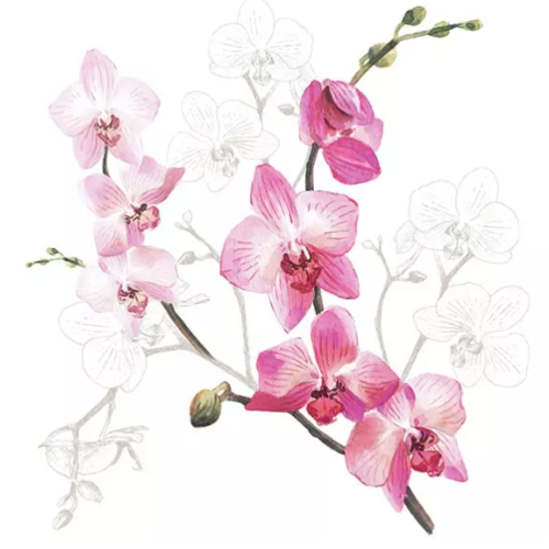1 serviette en papier fleurs - orchidee - ref 2357